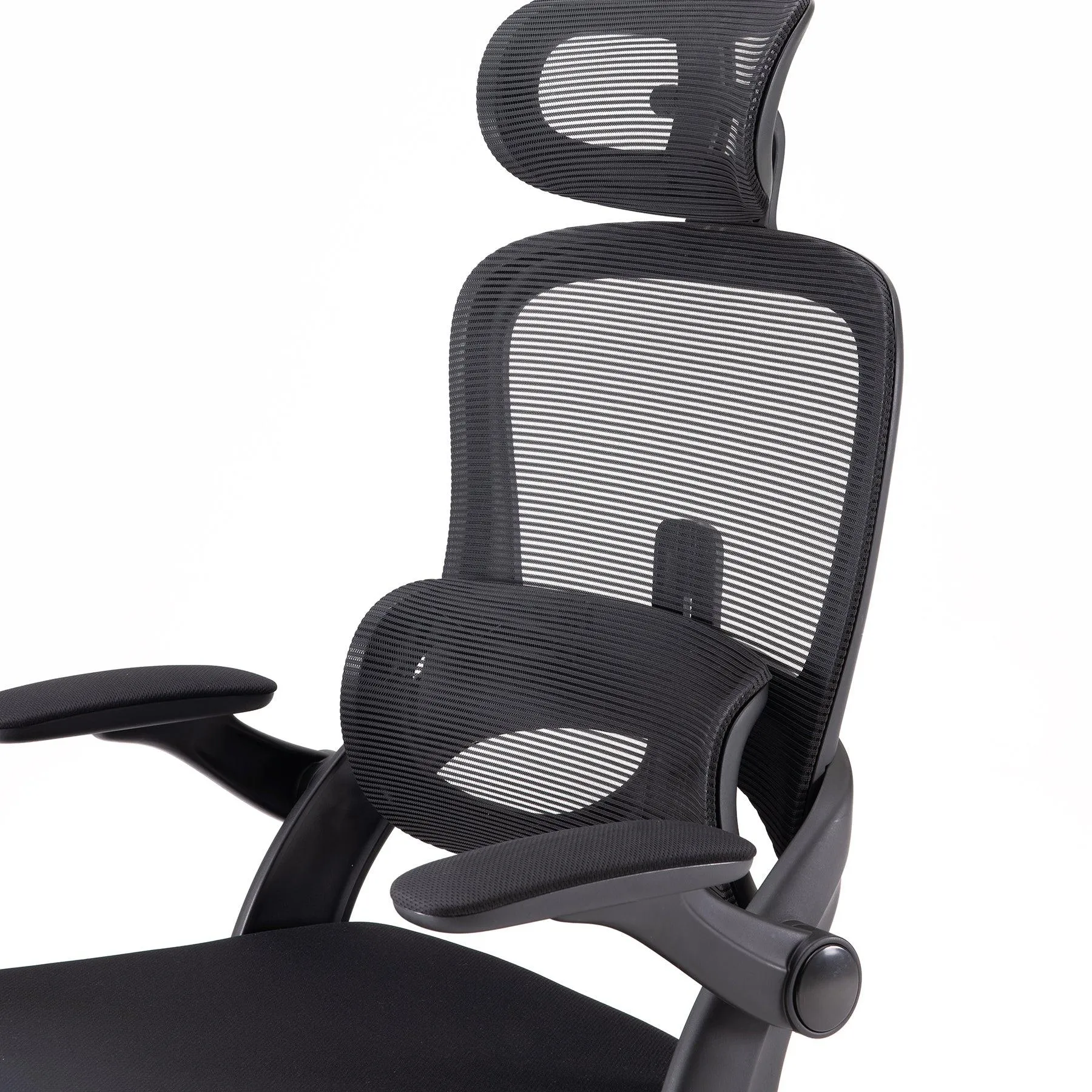 M102C Ergonomic Office Chair with Customizable Lumbar Support